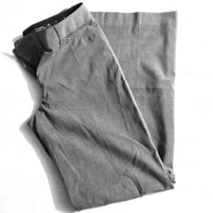 Express Dress Pants